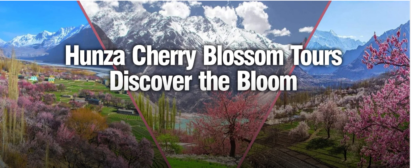 HUNZA APPRICOT/CHERRY BLOSSOM TOUR